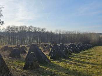 Trail Walking Simmerath - A la découverte de Lammersdorf 🥾 - Photo