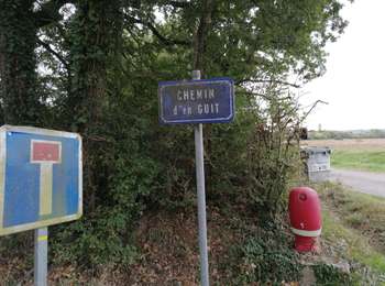 Percorso Marcia Loubens-Lauragais - 1-10-24 - Photo