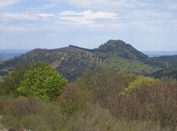 Percorso Camminata nordica Volvic - Puy des Gouttes - Photo