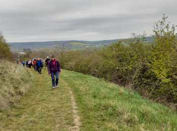 Trail Walking Marsangy - marsangy - Photo
