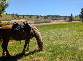Tour Reiten Ottrott - 2026-05-01 Picnic Serva Champ du Feu - Photo