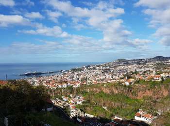 Tocht Stappen Funchal (Santa Maria Maior) - Monte par le Levada do Bom Sucesso (Rother n°2 inversé) - Photo