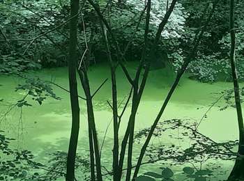 Trail Walking Liège - fayenbois . jupille . xhavée . haute saive . nifiet . fayembois - Photo