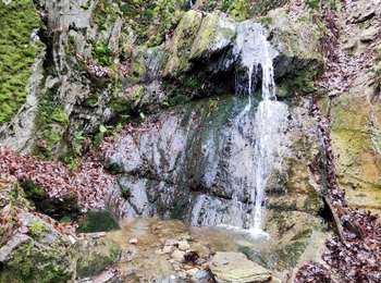 Trail Walking Theux - Promenade vers la cascade de Haldeboeuf  - Photo