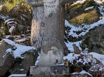 Tour Wandern Moussey - 2025-11-22 Marche Moussey Tete du Coquin - Photo