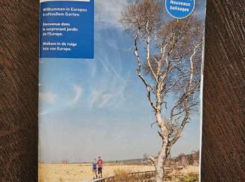 Trail Walking Raeren - 2023-11-04_19h00m38_raeren-chemin-des-prairies - Photo