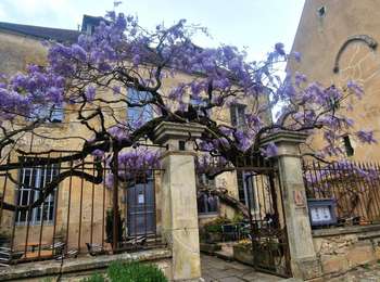 Trail Walking Auxerre - auxerre vezelay - Photo