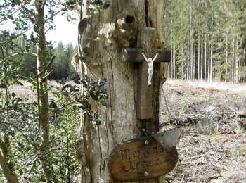 Percorso A piedi Raeren - Durch Hasenell - Photo