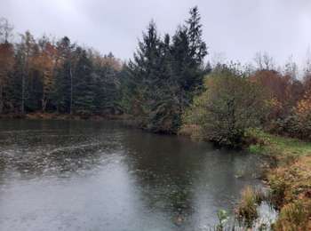 Trail Walking Ternuay-Melay-et-Saint-Hilaire - vosges 2025 p2 - Photo