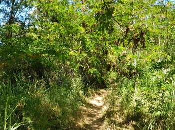 Tocht Fietstoerisme Sète - Sète -Narbonne - Photo