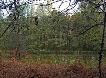 Trail Electric bike Fougerolles-Saint-Valbert - 02-11-22 vae - Photo