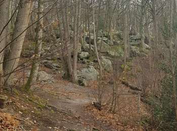 Randonnée Marche Dampierre-en-Yvelines - sortie 23-01-24 - Photo