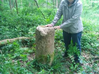 Trail Walking Montigny-la-Resle - rando14 - Photo