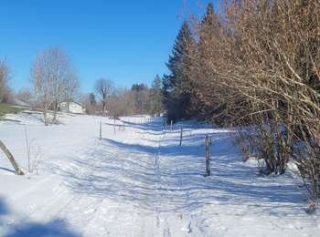 Trail Walking Saint-Laurent-en-Grandvaux - St Laurent en grandvaux  le marechet  - Photo