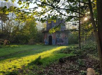 Tour Wandern Boulogne-Billancourt - Le bois de Boulogne - Photo