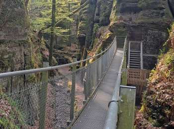 Tour Wandern Berdorf - Berdorf - Photo