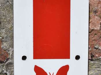 Trail Walking Dison - 20210430 - Dison 9.3 Km - Photo