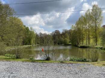 Tocht Stappen Villers-la-Ville - BE-Villers-la-Ville - Le Bois Pigeolet et le Châtelet - VLV 7  - Photo