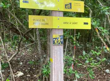 Percorso Sentiero Le Gosier - Petit havre  - Photo