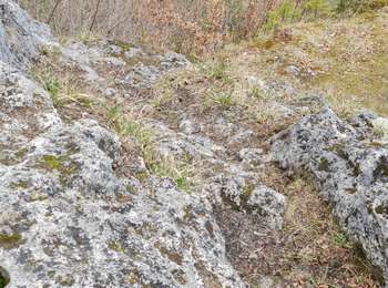 Excursión Senderismo Tintigny - Bellefontaine,  Gros Cron, Baraque Payat - Photo