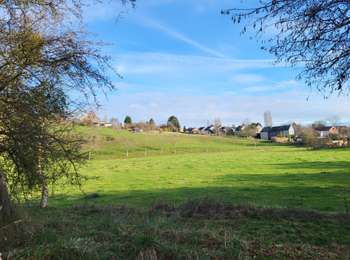 Trail Walking Sambreville - Moignelee - Tamines 041225 - Photo