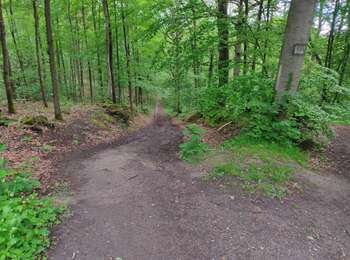 Randonnée Marche Viroflay - La Celle St Cloud depuis Viroflay - Photo