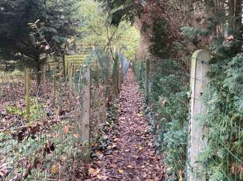 Trail Walking Brugelette - Brugelette - Fauleng - Gondregnies - Mevergnies - Photo