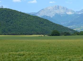 Trail Horseback riding Saint-Arey - 2025-06-03 Rando CVA Saint-Arey vers Maissenas - Photo
