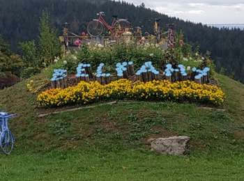 Trail Walking Belfahy - Belfahy Balade de Claude - Photo