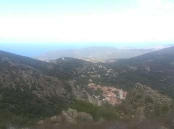 Trail Walking Belgodère - Boucle de St Antoine  - Photo