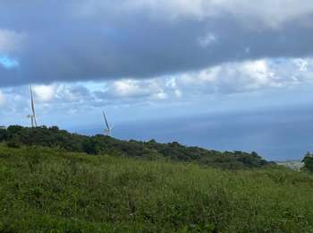 Trail Walking Macouba - Montagne Pelée par  Macouba  - Photo