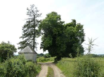 Trail On foot Ferrières - 15. Promenade 