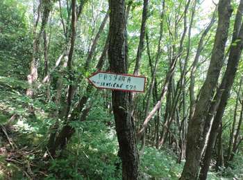 Tour Zu Fuß Rota d'Imagna - Sentiero 586: Rota d'Imagna - La Passata - Photo