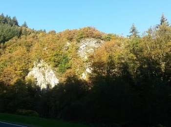 Trail On foot Simmerath - Heckenlandroute - Photo
