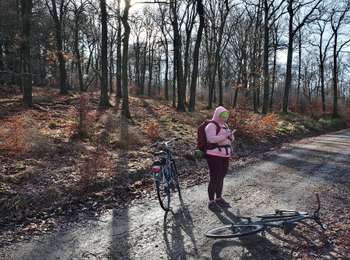 Percorso A piedi Raeren - Petergensfeld (Grünes Rechteck) - Photo