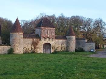 Trail Walking Courgenay - Vauluisant 251109 - Photo