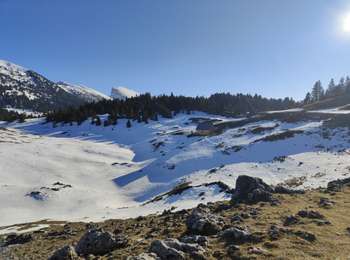 Percorso Marcia Corrençon-en-Vercors - Corrençon en Vercors - La Jasse du Play - Photo