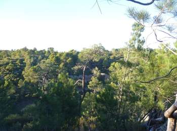 Trail Walking Boutenac - BOUTENAC - Circuit des combes par la chapelle St Siméon - Photo