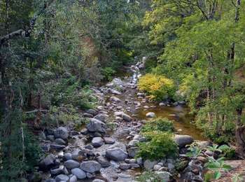 Tocht Stappen Génolhac - Vallée de l'Homol - Photo