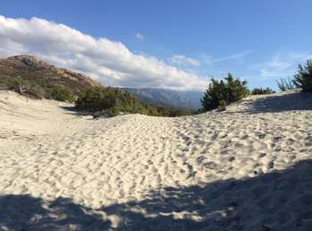 Trail Walking Palasca - Agriates - Photo