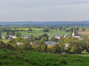 Excursión Bici de montaña Habscht - VTT solo - Photo