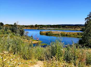Trail Walking Visé - La Montagne Saint-Pierre et ses alentours  - Photo