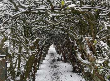 Trail Walking Arlon - 31.265 Arlon - Vieille Ville  - Photo