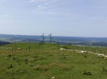 Trail Horseback riding Métabief - rando 6 - Photo