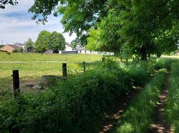 Tour Wandern Bastnach - Lutrebois 030622 - Photo