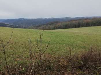 Tour Wandern Saint-Germain-du-Bel-Air - Saint-Germain-du-Bel-Air_Foulquié 6,5 - Photo