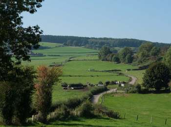 Trail Walking Pepinster - GG-Lg-12_Pepinster - Spa - Photo