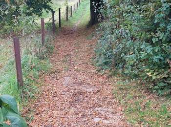 Trail Walking Burdinne - burdinne - Photo