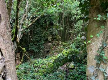 Tour Wandern Bruniquel - Bruni quel - Photo