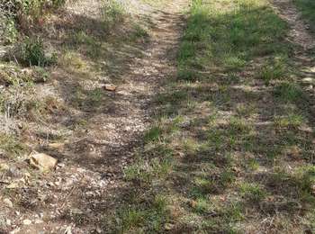 Trail Walking Bissey-sous-Cruchaud - Bissey sous Cruchaud 3 octobre 19 - Photo